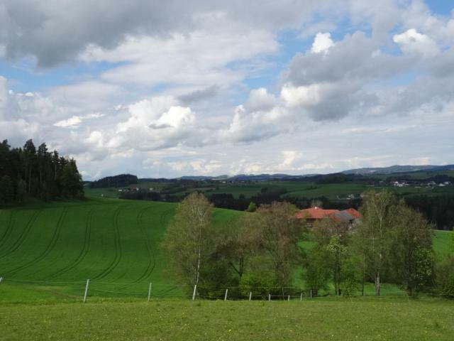 Desl'S Little Farm Apartment Waldburg Exterior foto